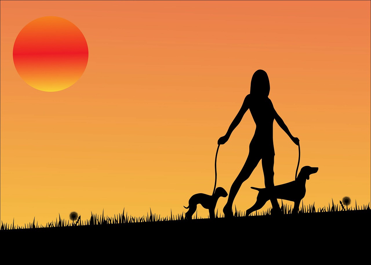 【ワンコのお散歩】愛犬の散歩回数や時間はどの位？いつから始めるべき？