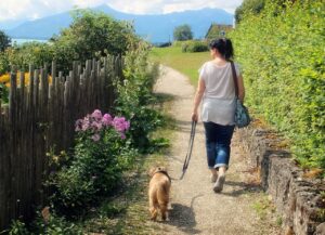 愛犬の散歩回数は……できれば毎日