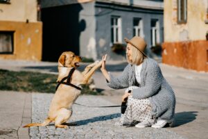 犬を飼うということは家族が増えること