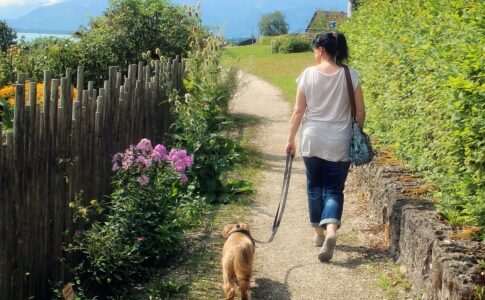 犬の散歩でダイエットは可能？散歩一時間の消費カロリーは？