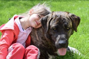 赤ちゃんと犬が同居するメリット