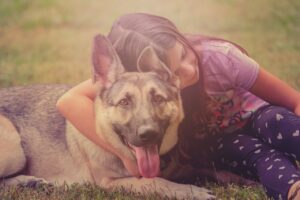 赤ちゃんも犬も上手に安全に育てていきましょう