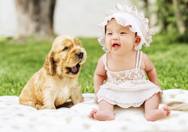 赤ちゃんと犬が同居する注意点