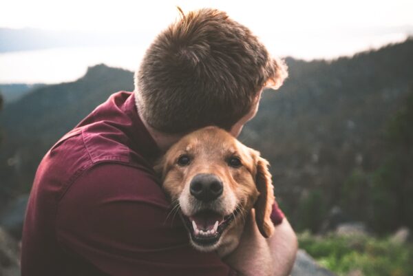 ダニ予防をして犬も人間も快適に過ごしましょう