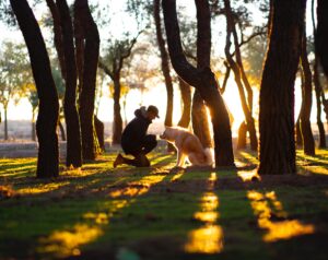 犬の散歩で気を付けるべきマナー