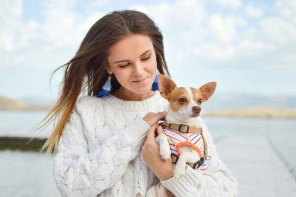 準備を万端にして犬の散歩を楽しみましょう