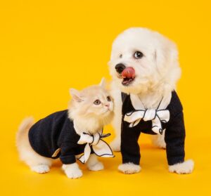 飼いやすさや飼い主の性格から犬か猫かを検討しましょう