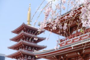 神社に犬は連れていける？