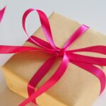 ドッグフードブッチのギフトボックスがプレゼントにおすすめ！記念日や友人への贈り物に！
