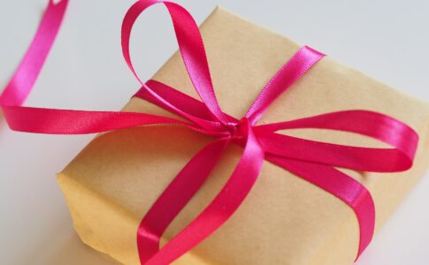 ドッグフードブッチのギフトボックスがプレゼントにおすすめ！記念日や友人への贈り物に！